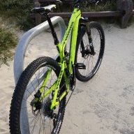 TREKonly