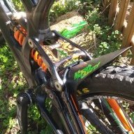 mONGOOSe1