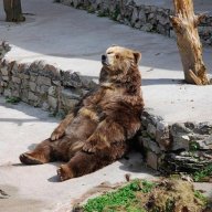 relaxduhd