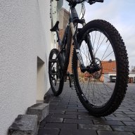 Und3rd0g1984