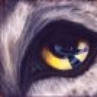 Wolfeye