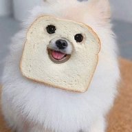 Almwiesl