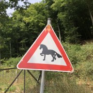 Viddinchen