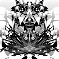 Schones