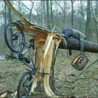 elschlumpfo
