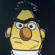birdybirdissen