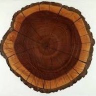 WoodenBiker