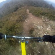 Winguba