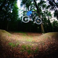 bikedawg