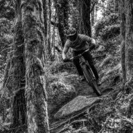 ahcsas