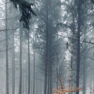 Aufsetzer