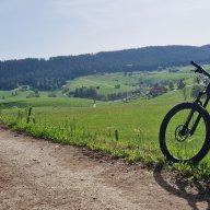 Mo83