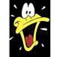 crazy duck