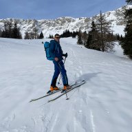 regnisar