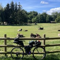 BertholdBikes