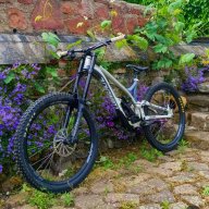 noahoncommencal