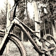 Horst0702