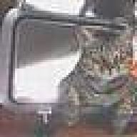 vitoatsea