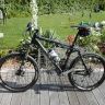 dirkbaum39