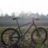 colnagoboris