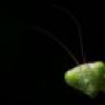 sloop89
