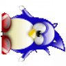 navpp