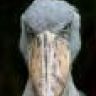 Vogward