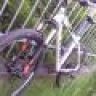 Basti211084