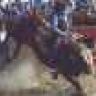 Bullrider