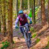 Thebike69