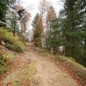 Specialized_5