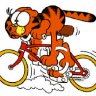 GarfieldII