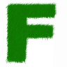 flechte