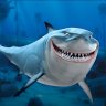 sharky