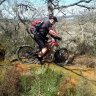 Waldmtb