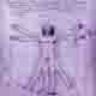 Vetruv