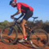 scapin ita