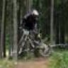 Cove Rider