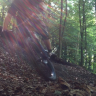 sickrider