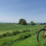 Henk_R
