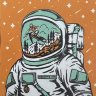 Sebbonaut_