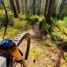 TeerSchleicher