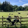 BertholdBikes