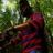 stylo