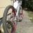eXtremdirtbiker