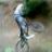 Rideon!