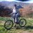 Colliz1000