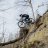 Dirtjumper95