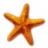 Starfish87