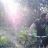 Matthieu_